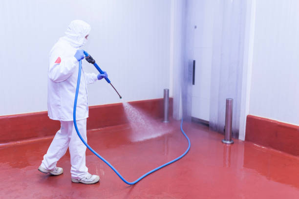 Best Sidewalk and Walkway Pressure Cleaning in Point, TX