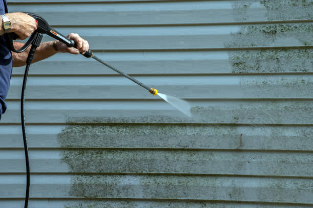 Best Gutter Cleaning and Brightening in Point, TX